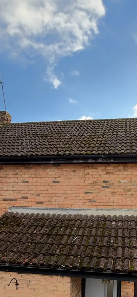 Bishop's Cleeve roof before cleaning — moss and algae