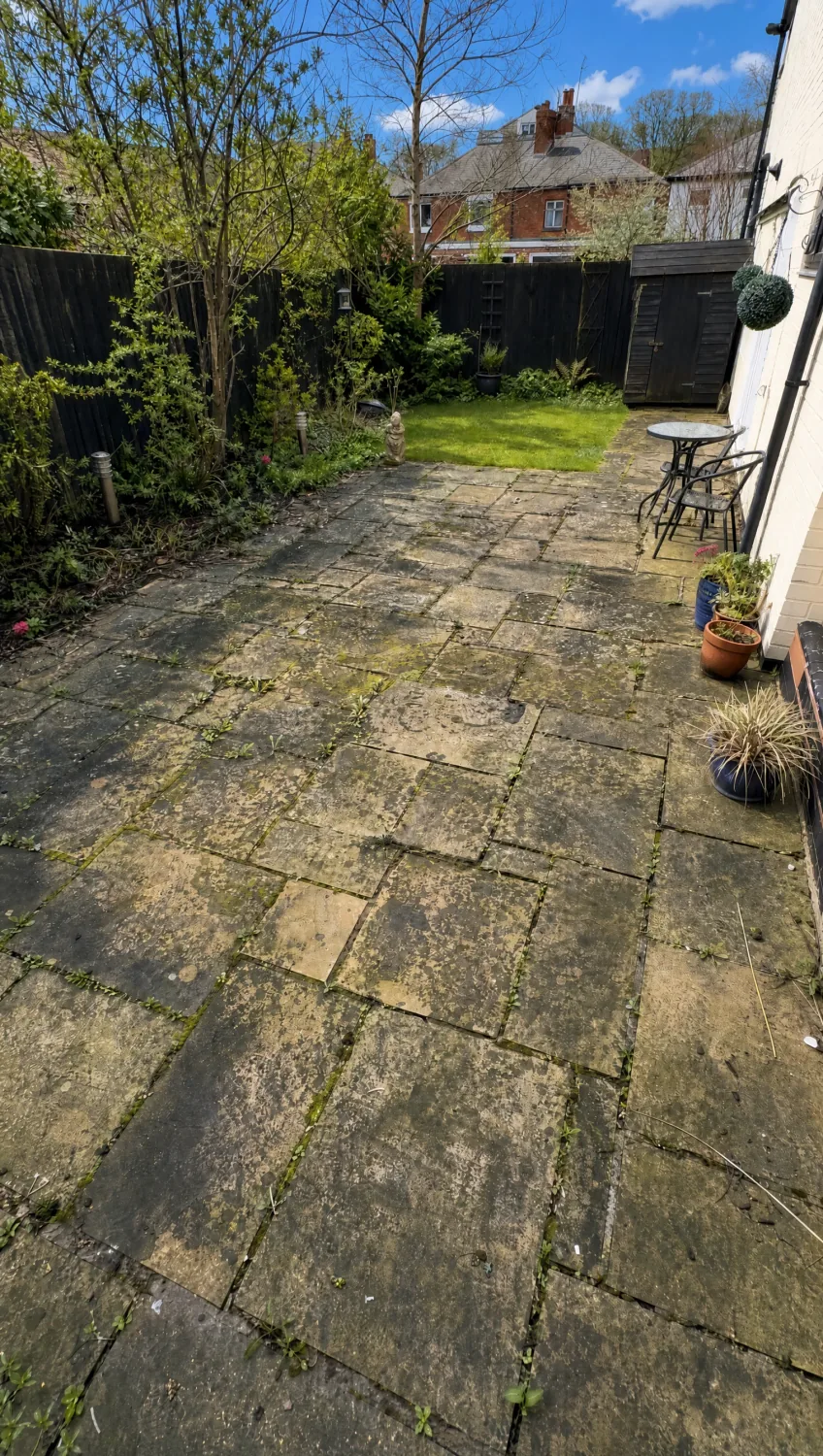Patio before cleaning